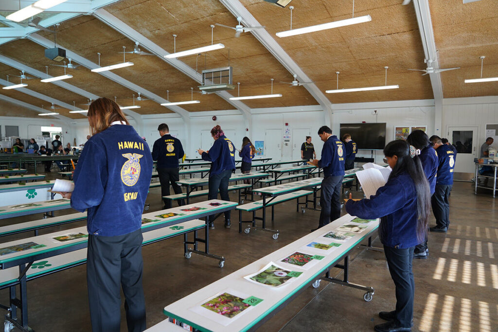 FFA students compete during their CTSO conference.