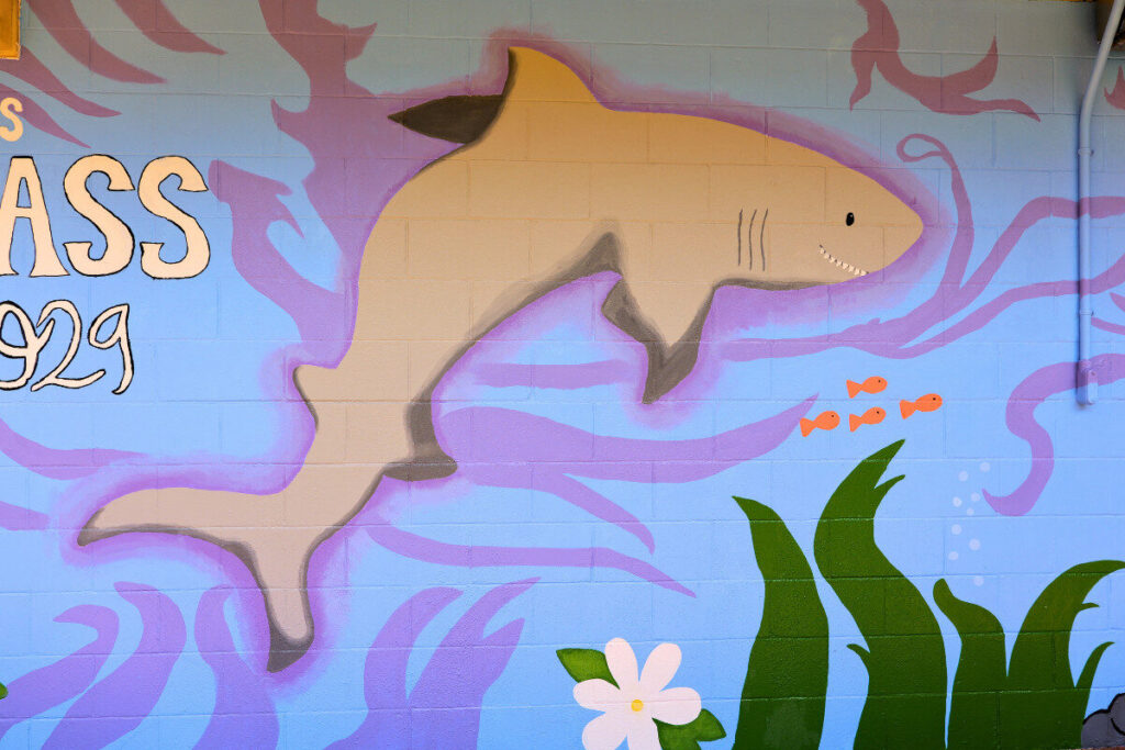 Mural Moʻolelo: Waimea High