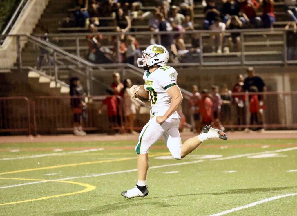 Football player runs with ball