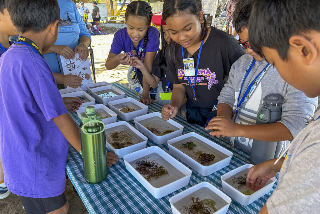 Students examine specimens.
