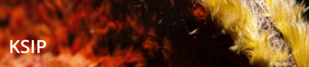 Kaiapuni Strategic Implementation Plan (KSIP)