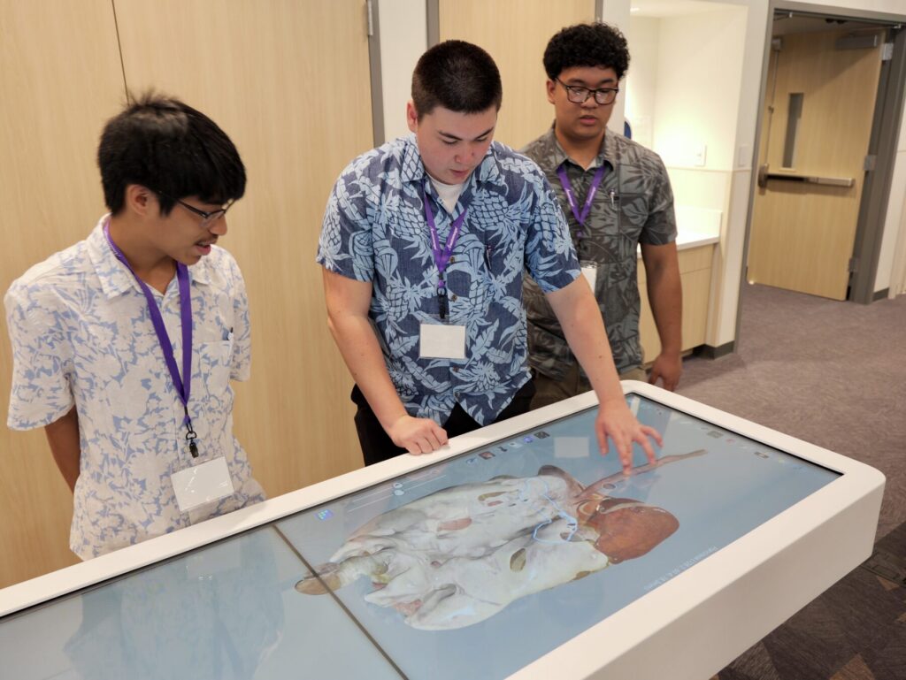 Hawaii Anatomage Tournament