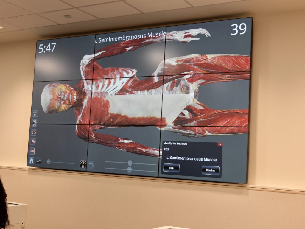 Hawaii Anatomage Tournament