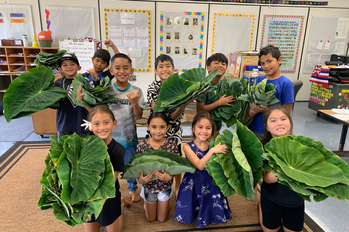 students holding kalo leaves