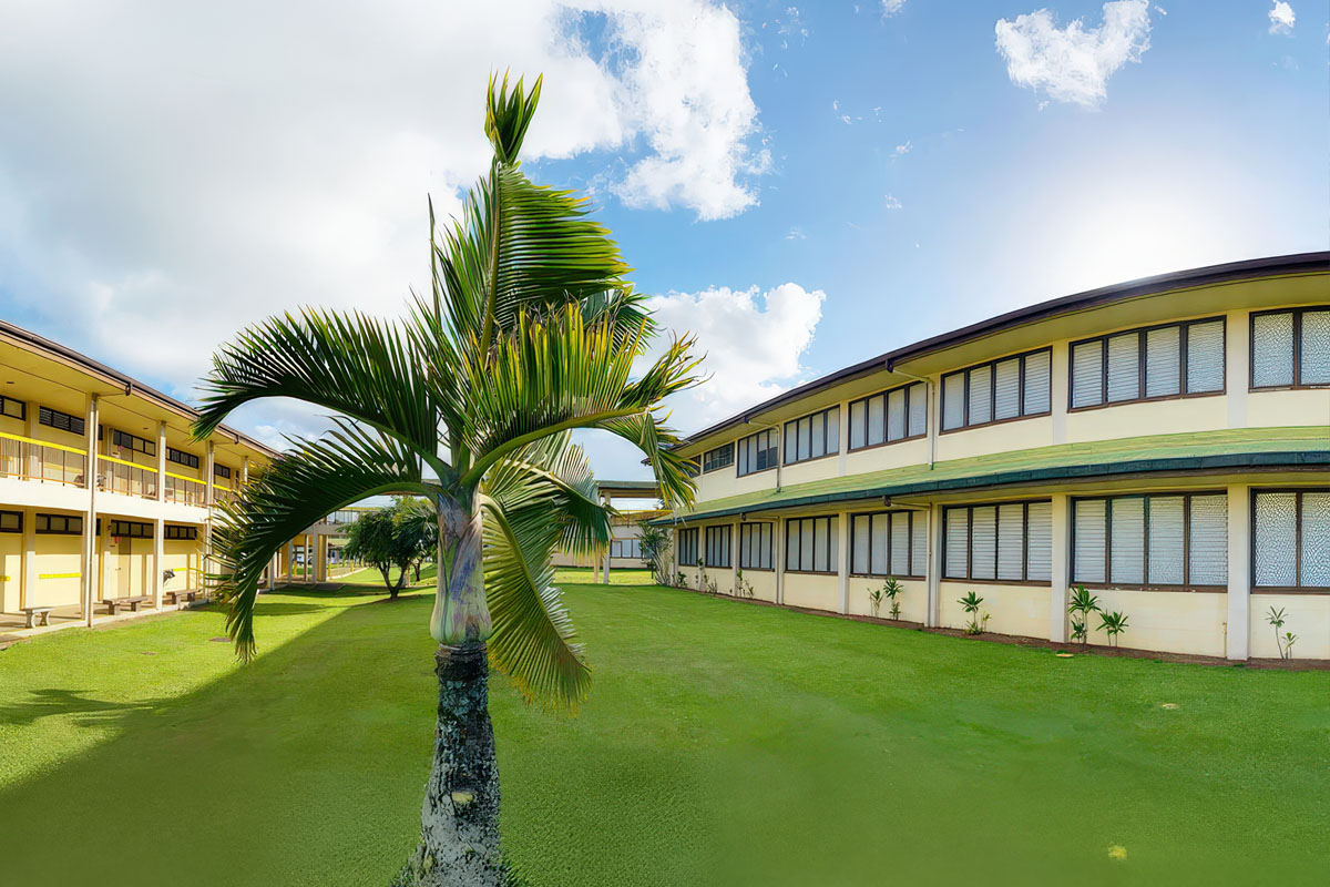 palm tree in between two school buildings
